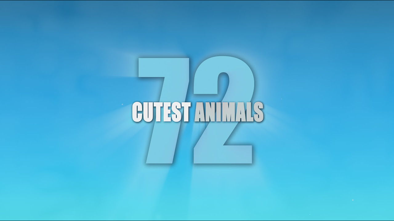 72 Cutest Animals Trailer thumbnail