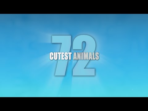 72 Cutest Animals - Trailer