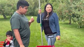#trending que hermoso ￼￼ cosechas, ￼de ￼manzanas acompáñanos en el video hasta el final ￼ ￼