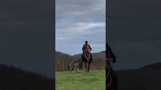 Odin's Companion 🐺🐴 #shorts