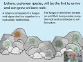 Ecological Succession Concepts