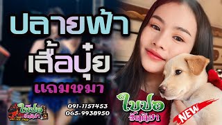🔥ใหม่มาแรง!!ปลายฟ้า/เสื้อปุ๋ย บนรถแห่ใบปอ🎤[ใบปอ รัตติยาOfficial]