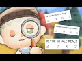 Animal Crossing Gameplay Mechanics