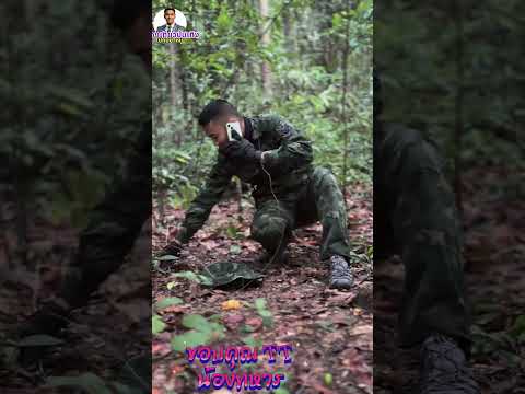 ทหารเก็บเห็ด โิ๊อ้ยเนาะเห็ดเป็นเหตุสังเกตุได้ เพื่อนกะเพื่อนเถาะ #ทหารไทย #ตลกฮาฮา