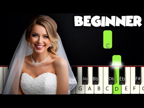 Wedding March - Felix Mendelssohn | BEGINNER PIANO TUTORIAL + SHEET MUSIC by Betacustic