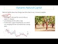 Natural Capital and Environmental Issues
