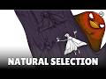Exploring Darwin's Natural Selection and Evolution