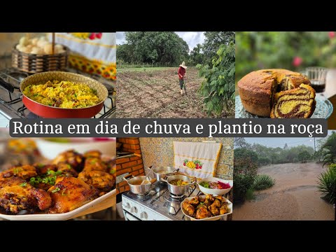 Levando café na roça pro marido | dia de plantar milho e feijão + almoço/ bolo e chuva