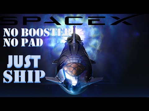 SpaceX Starship Is Running Out Of Time | SpaceX's Backup Plan Is..... Absurdly Genius