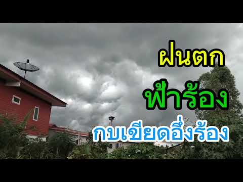 ธรรมชาติกล่อมนอน