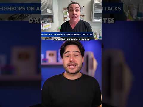 Ne croisez pas la route de cet écureuil 🤣