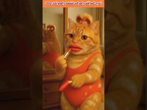 اغرب المواقف والحركات للقطط والحيوانات ج260💥🐕🐯💯