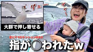 ウミネコが大量発生した最後の夏に家族全員が面白すぎたwスイカ割り対決も実行！