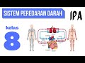 Cardiovascular System Concepts