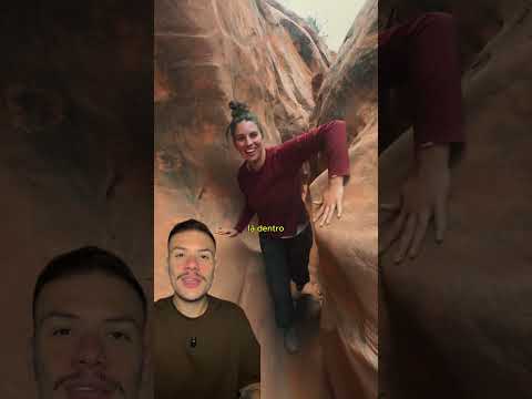 Se você não passar pelos postes… não entra. E o motivo é assustador.