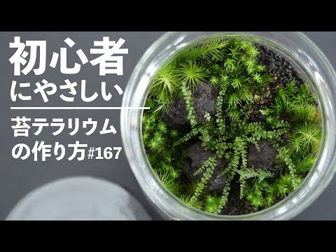 【初心者向け】キャニスター容器につくる苔テラリウム #167