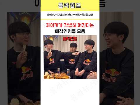 페이커가 각별히 여긴다는 애착인형들 모음