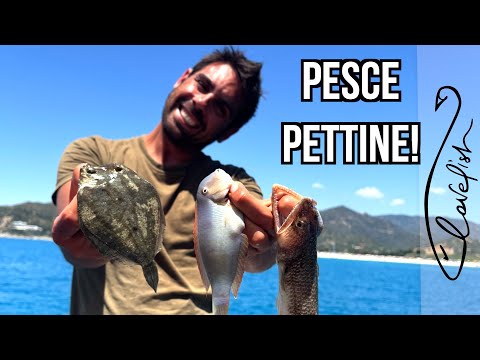 La pesca al PESCE PETTINE - catch and cook