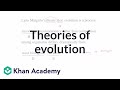 Understanding Lynn Margulis's Theory