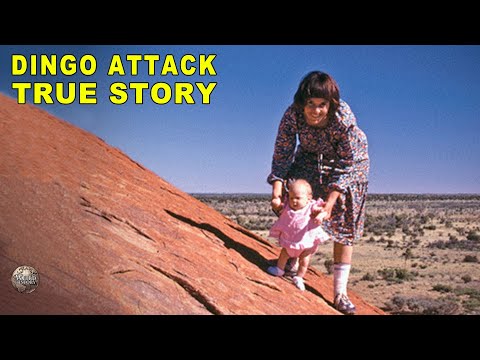 The Real Story Behind "A Dingo Ate My Baby"