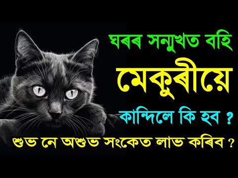ঘৰৰ সন্মুখত বহি মেকুৰীয়ে কান্দিলে শুভ নে অশুভ সংকেত লাভ কৰিব ?