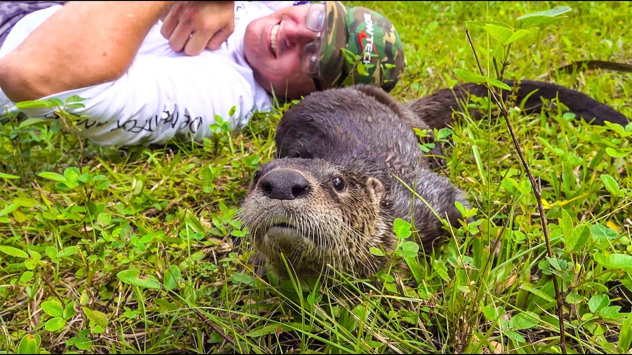 Friendly WILD Otter kia returns HOME! Winner Announcement
