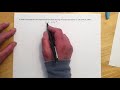 Exponential Functions and Growth Concepts