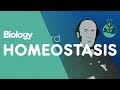 Exploring the Concept of Homeostasis in Biology