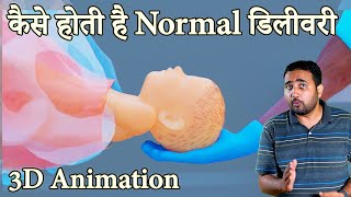 शिशु जन्म कैसे लेता है| how baby is born 3d Animation NEET