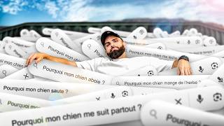 Les réponses à tous les « Pourquoi mon chien… » tapés sur Google ! (Y’a des trucs vraiment… 😭)