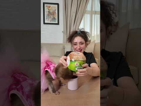 مين شاف فيديو روتيني الصباحي مع حيواناتي 🙈