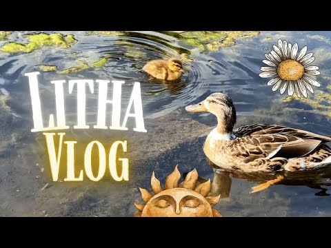 Relaxed Litha Vlog 2025║Reconnecting with Nature, Stonehenge and Tarot