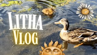 Relaxed Litha Vlog 2025║Reconnecting with Nature, Stonehenge and Tarot