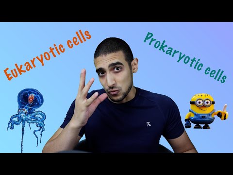 Eukaryotes Vs Prokaryotes similarities and differences (شرح بالعربي)