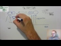 Water Cycle Concepts and Processes