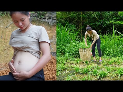 3 months pregnant - Unexpected good news, I was pregnant, living alone off the grid