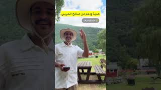 أجمل وأطول طريق متعرج في النرويج 