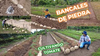 Como hacer BANCALES de PIEDRA, para CULTIVAR la TOMATE paso a paso