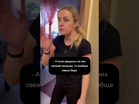 Куриные яйца #юмор #комедия #яйца