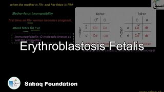 Erythroblastosis fetalis