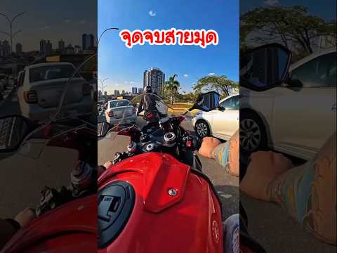 จุดจบสายมุด