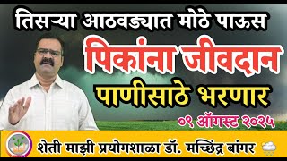आजपासून पिकांना पूरक पाऊस | तिसऱ्या आठवड्यात मोठे पाऊस | चिंता नको !#डॉ_मच्छिंद्र_बांगर 