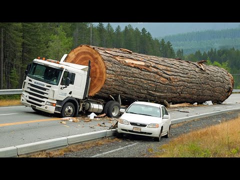 Dangerous Biggest Logging Truck Driving Skills | Fastest Crossing Muddy Road Wood Truck Driving