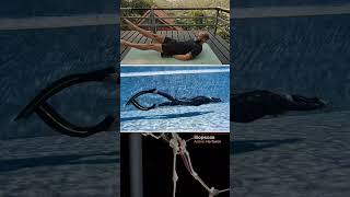 Freediving DRY Training For Dynamic Apnea DYNB