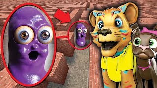 IF YOU SEE BEANOS IN A MAZE... RUN!!