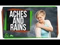 Weather and Pain: Myth or Reality?