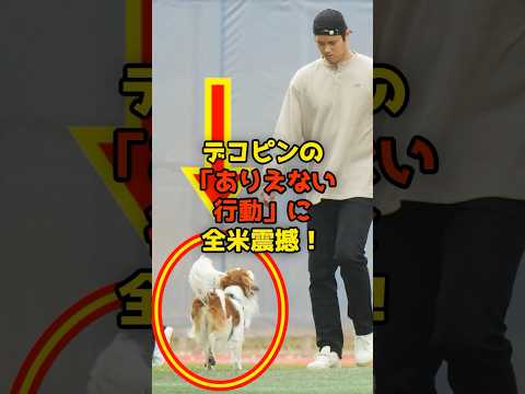 大谷の前でデコピンが「あり得ない行動」に全米震撼！？#大谷翔平#デコピン#shorts