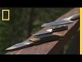 Knife Sharpening Techniques and Importance
