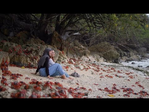 Christmas Island. Another world is within reach...