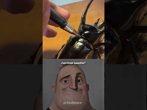 Beetle with metal body! #shorts #earth #virall #nature